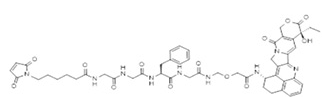 BiM-GLPY-Exatecan structure